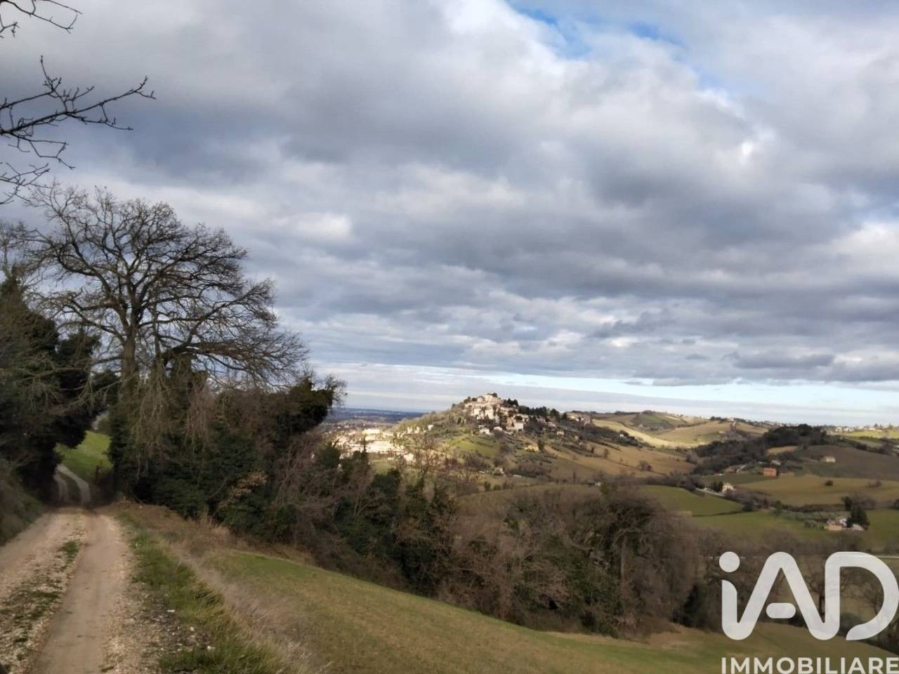 immagine annuncio 11 di 13