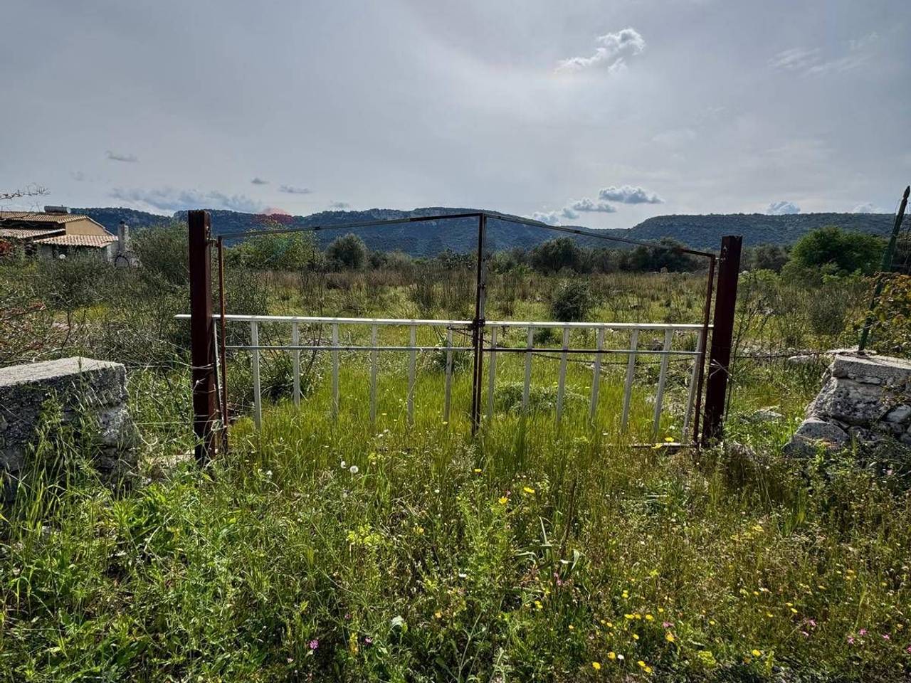 immagine annuncio 3 di 13