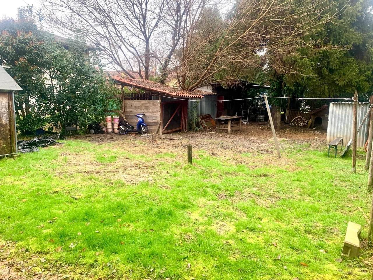 immagine annuncio 1 di 12