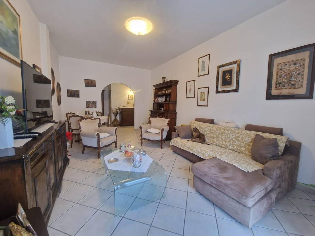 immagine annuncio 1 di 14