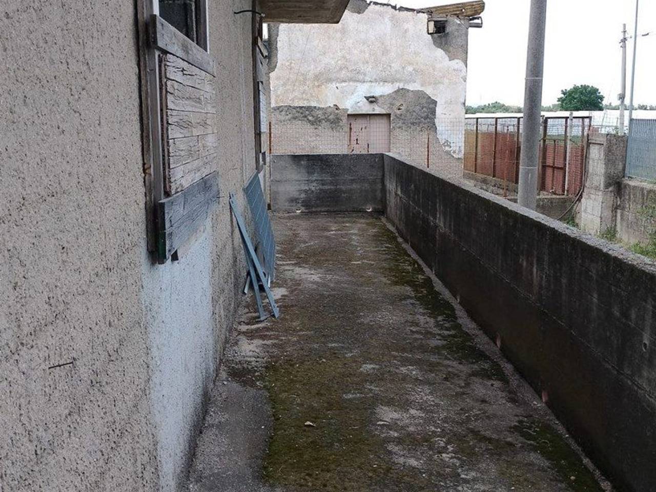 immagine annuncio 5 di 12