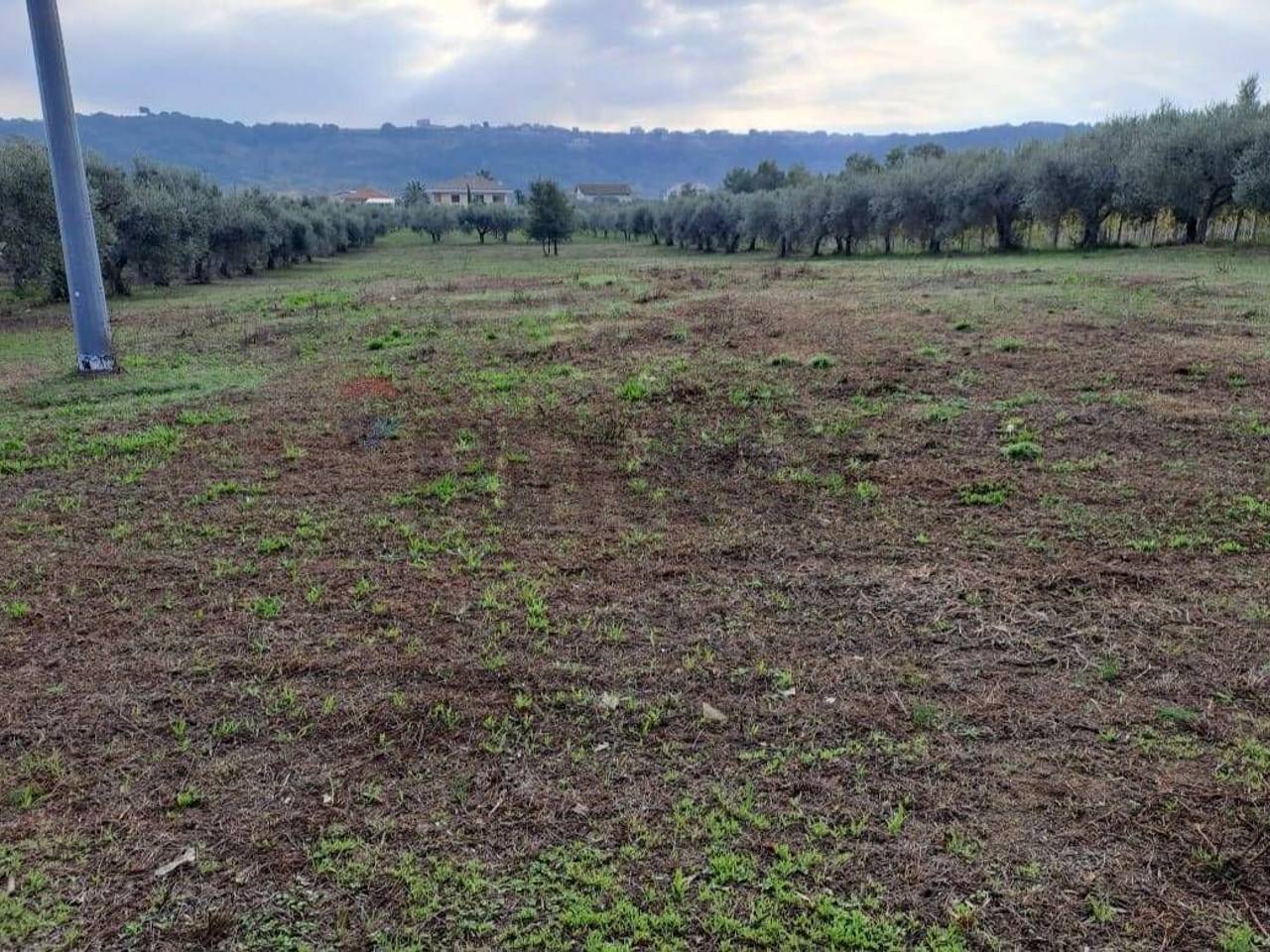 immagine annuncio 6 di 11