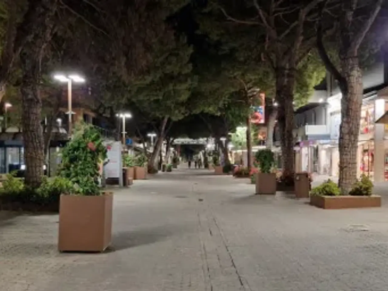 Ristorante in Viale Maria Ceccarini, Riccione, {3} - Foto 2