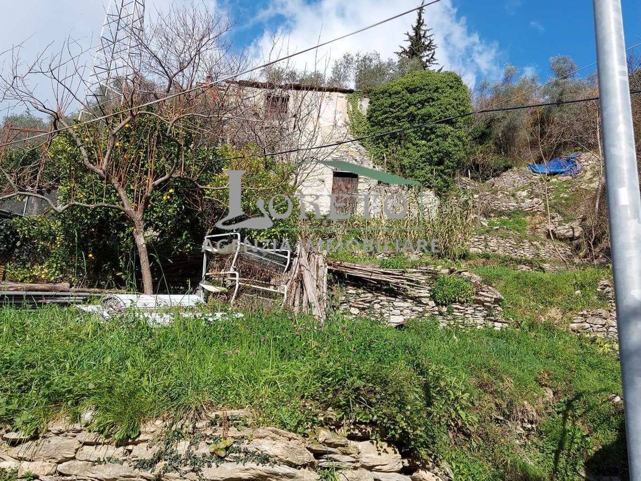 immagine annuncio 5 di 6