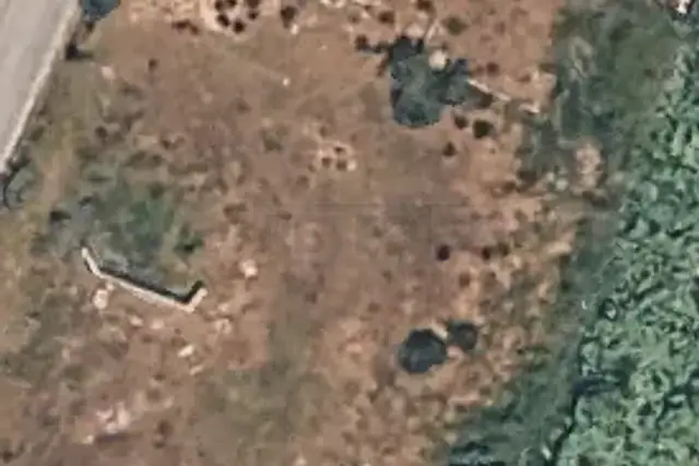 insertion image