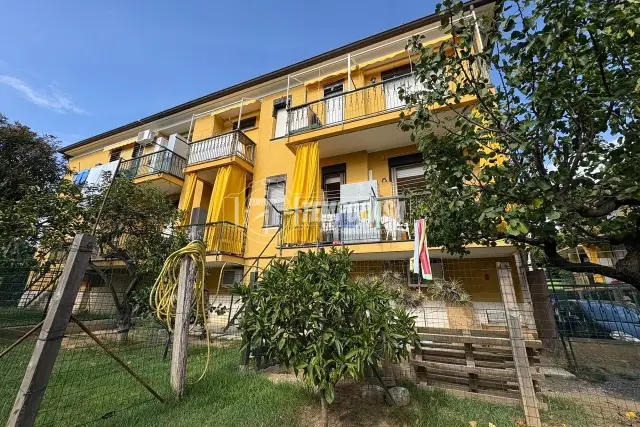 insertion image