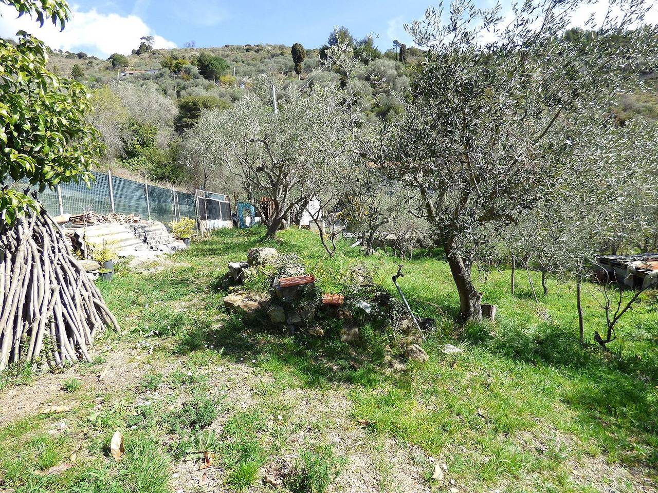 immagine annuncio 8 di 9