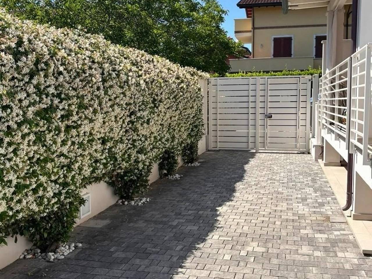 immagine annuncio 9 di 14