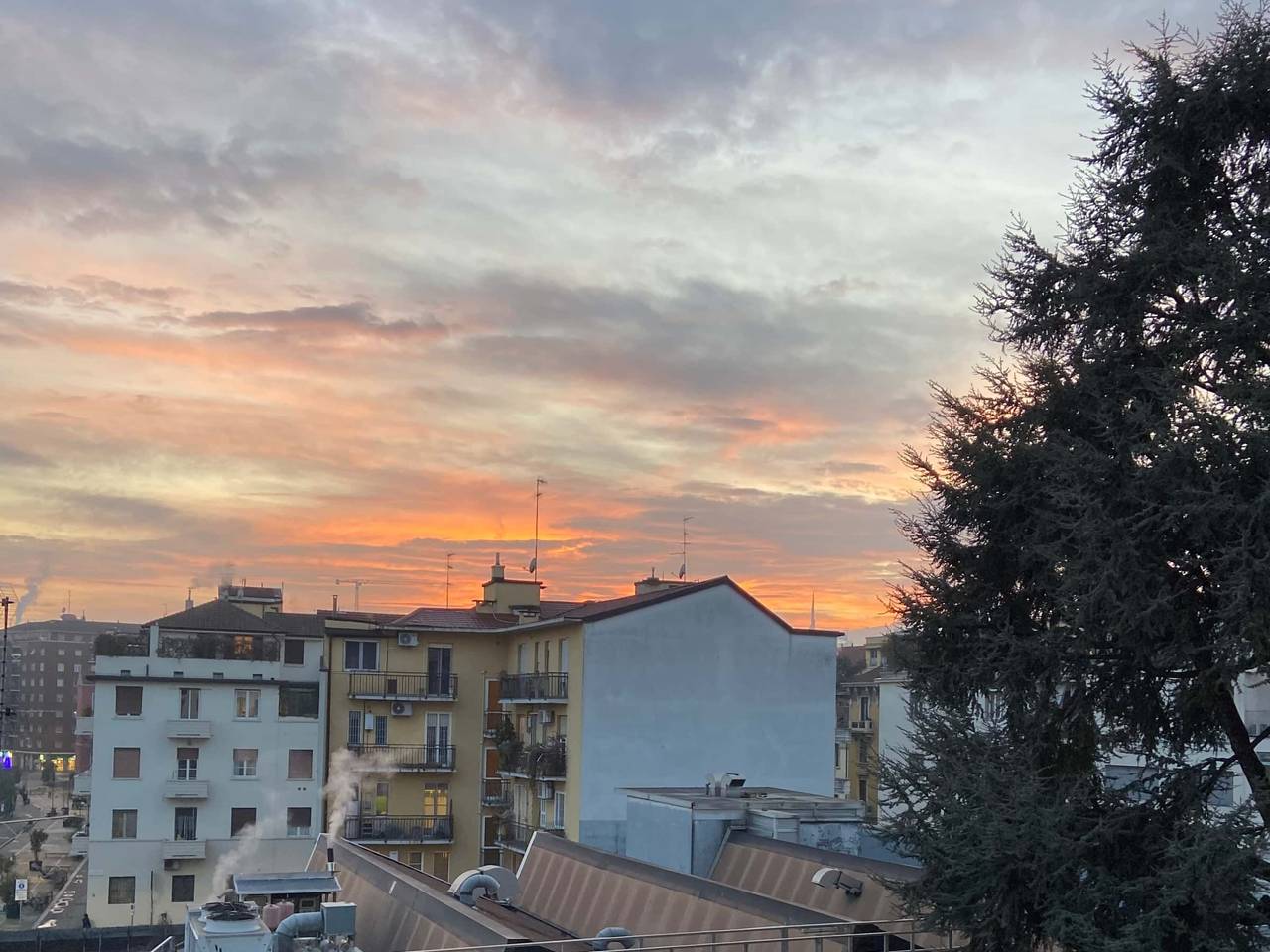 immagine annuncio 9 di 11