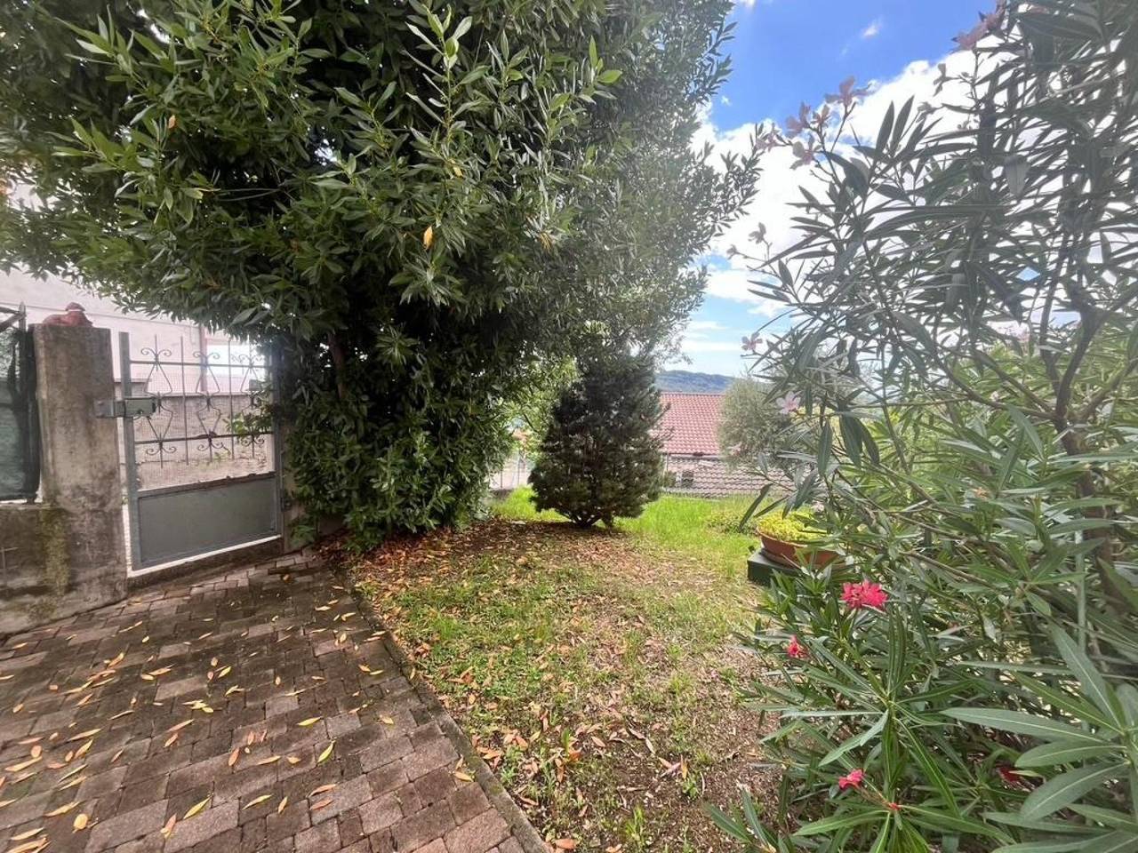 immagine annuncio 6 di 12