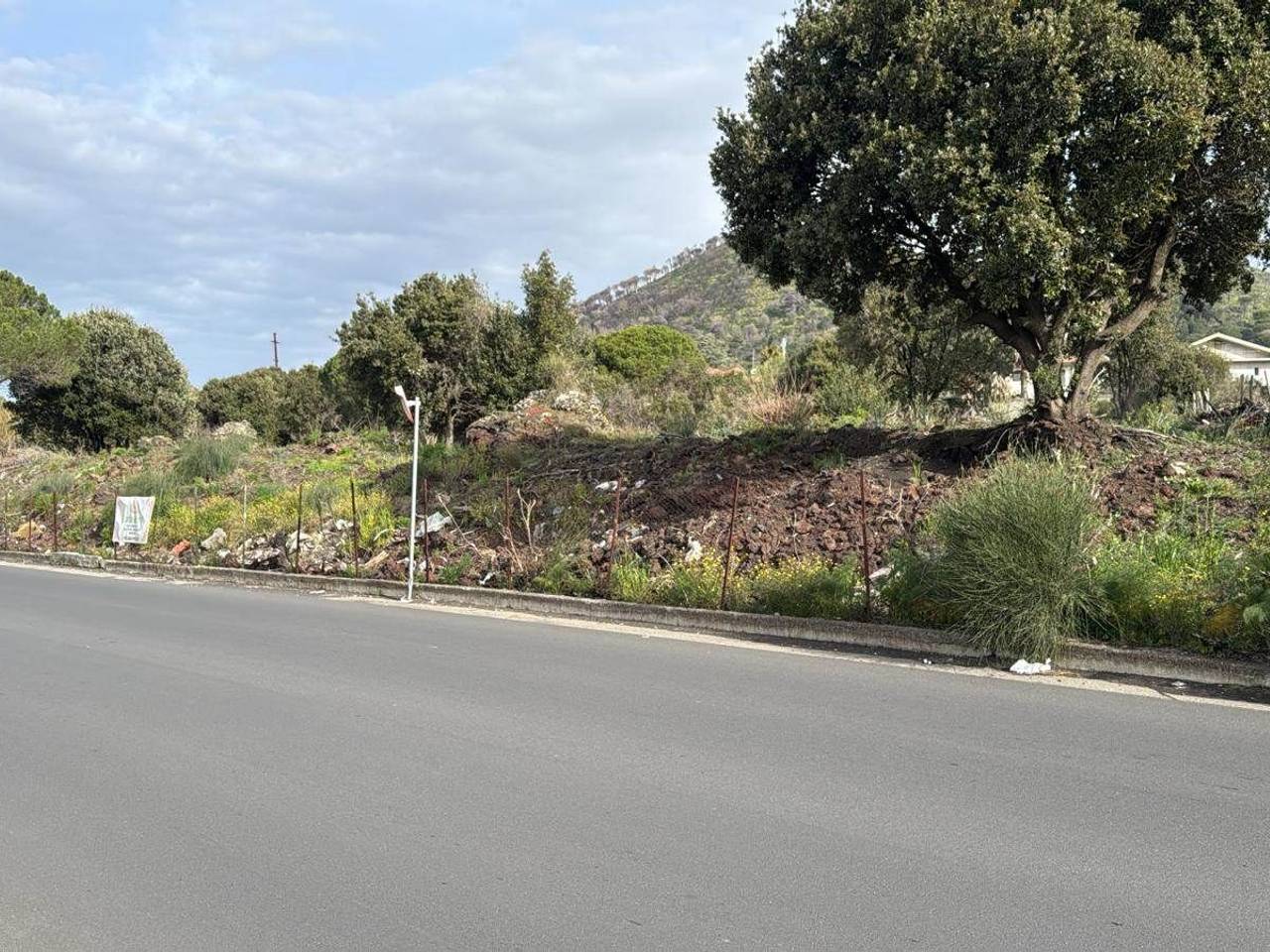 immagine annuncio 5 di 14