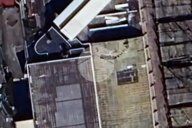 insertion image