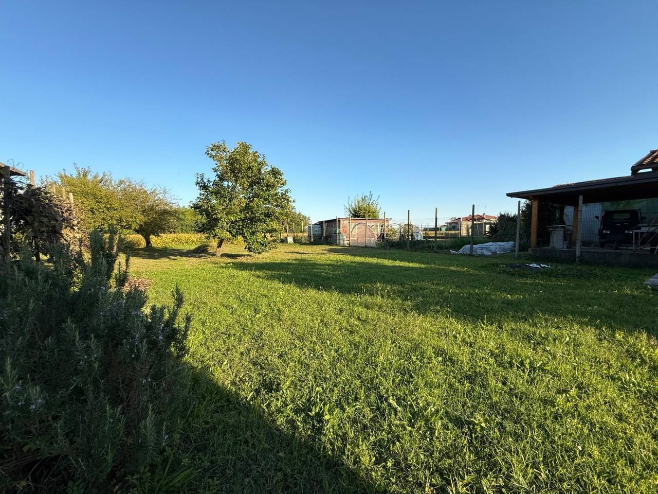 immagine annuncio 6 di 9