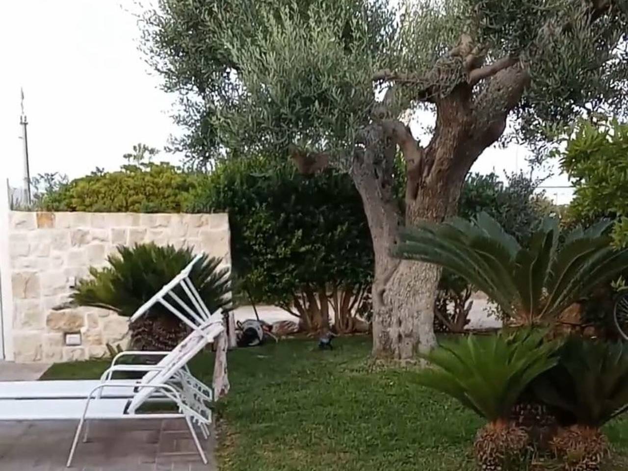 immagine annuncio 1 di 9