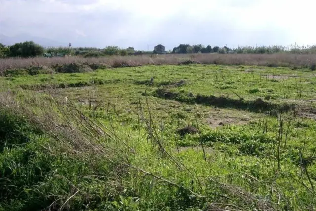 Agricultural land in Contrada Fondaco Pagliara S.N.C, Milazzo - Photo 1