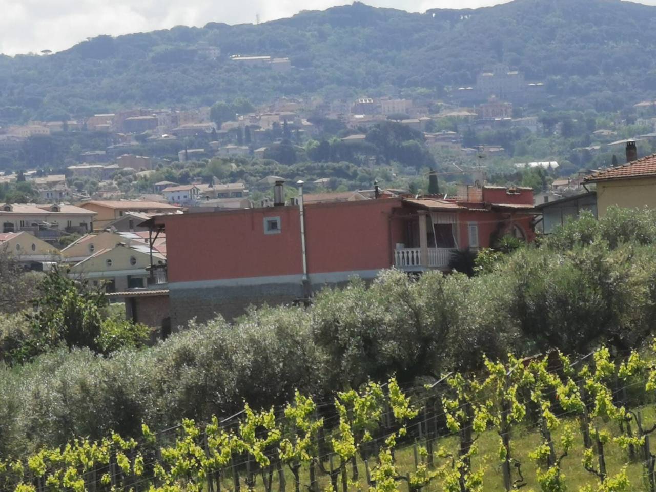 immagine annuncio 14 di 15