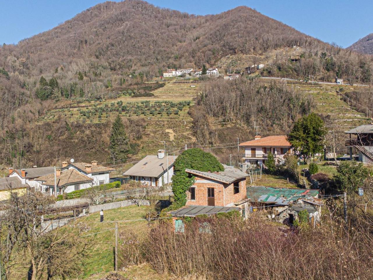 immagine annuncio 4 di 6
