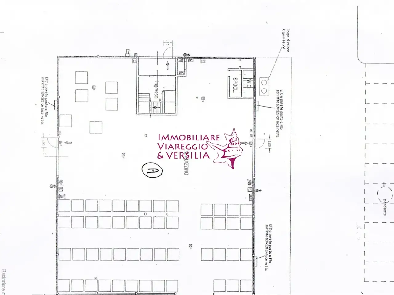 Magazzino in , Camaiore, {3} - Planimetria 1