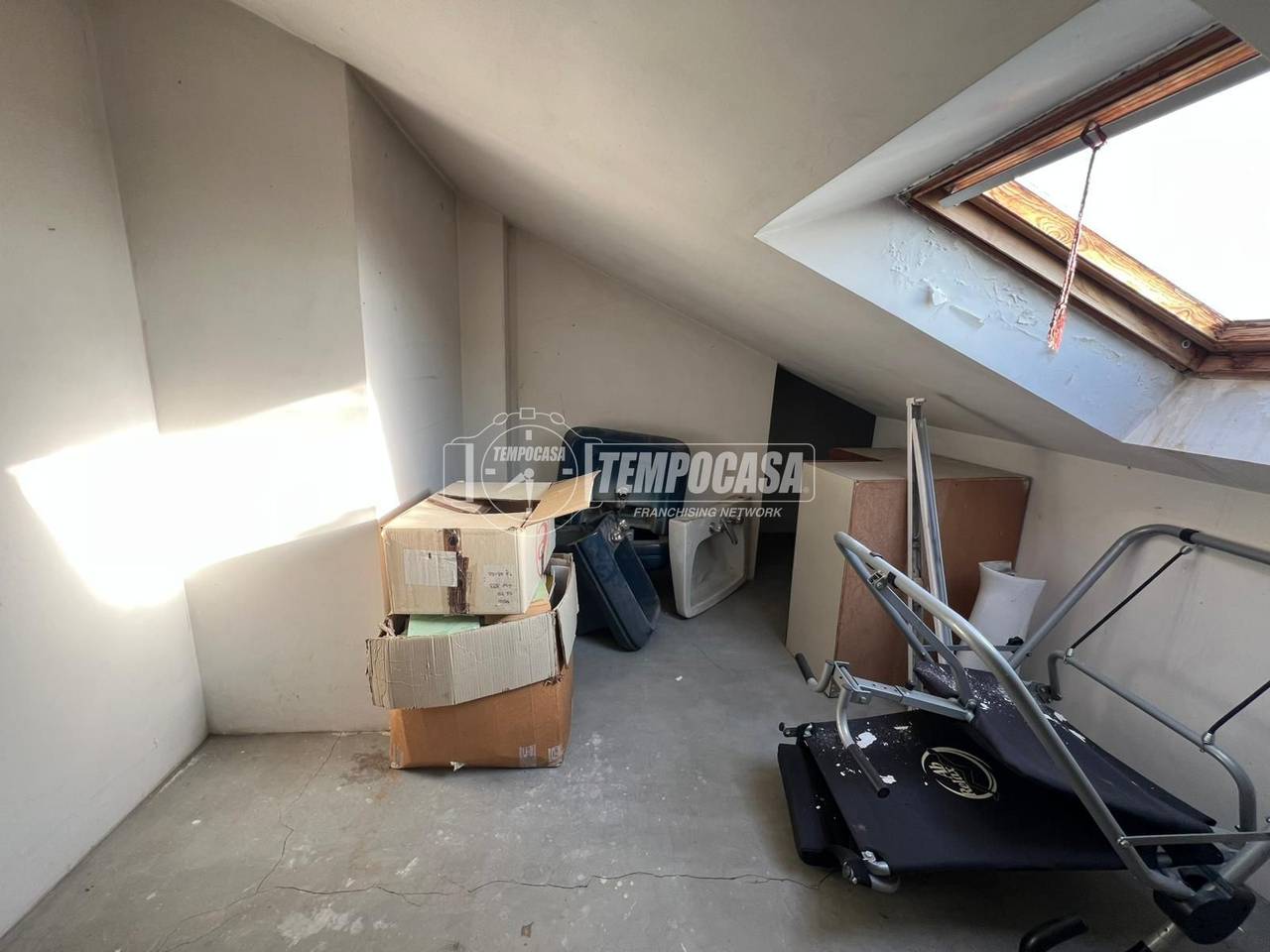 immagine annuncio 5 di 13