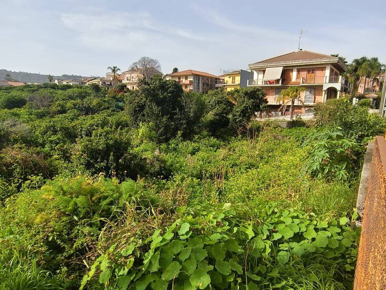 immagine annuncio 7 di 9