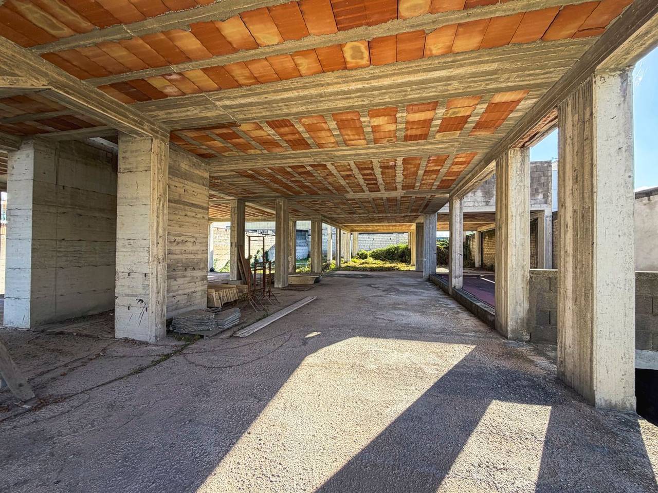 immagine annuncio 1 di 14