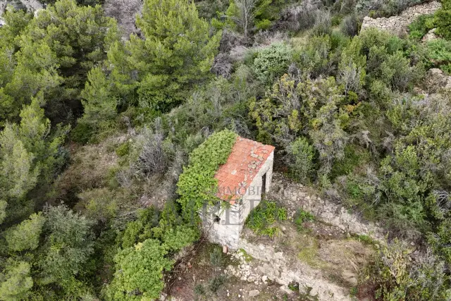 Terreno agricolo in Frazione Grimaldi, Ventimiglia - Foto 1