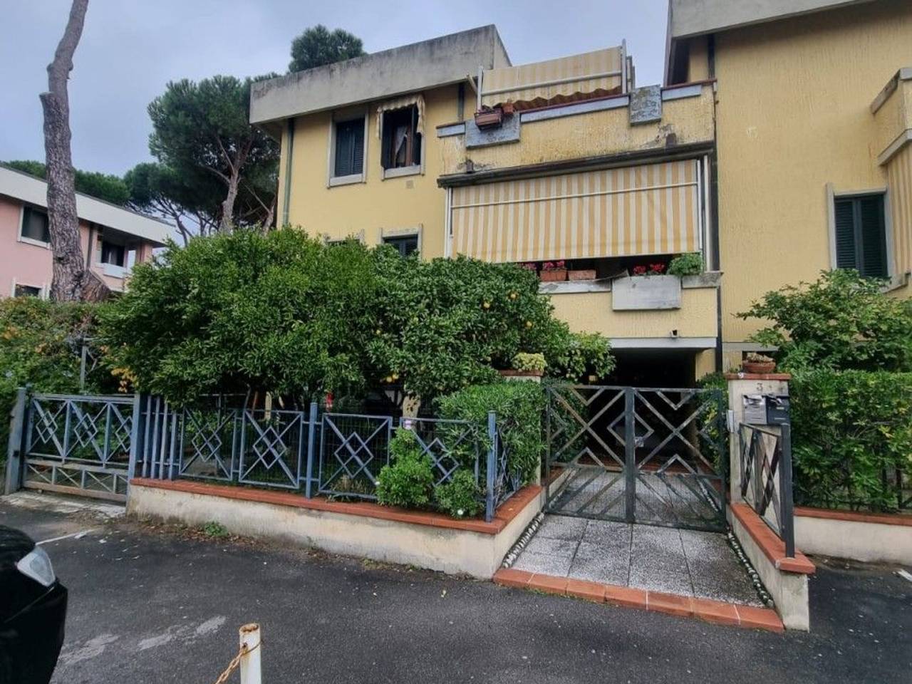 immagine annuncio 14 di 15
