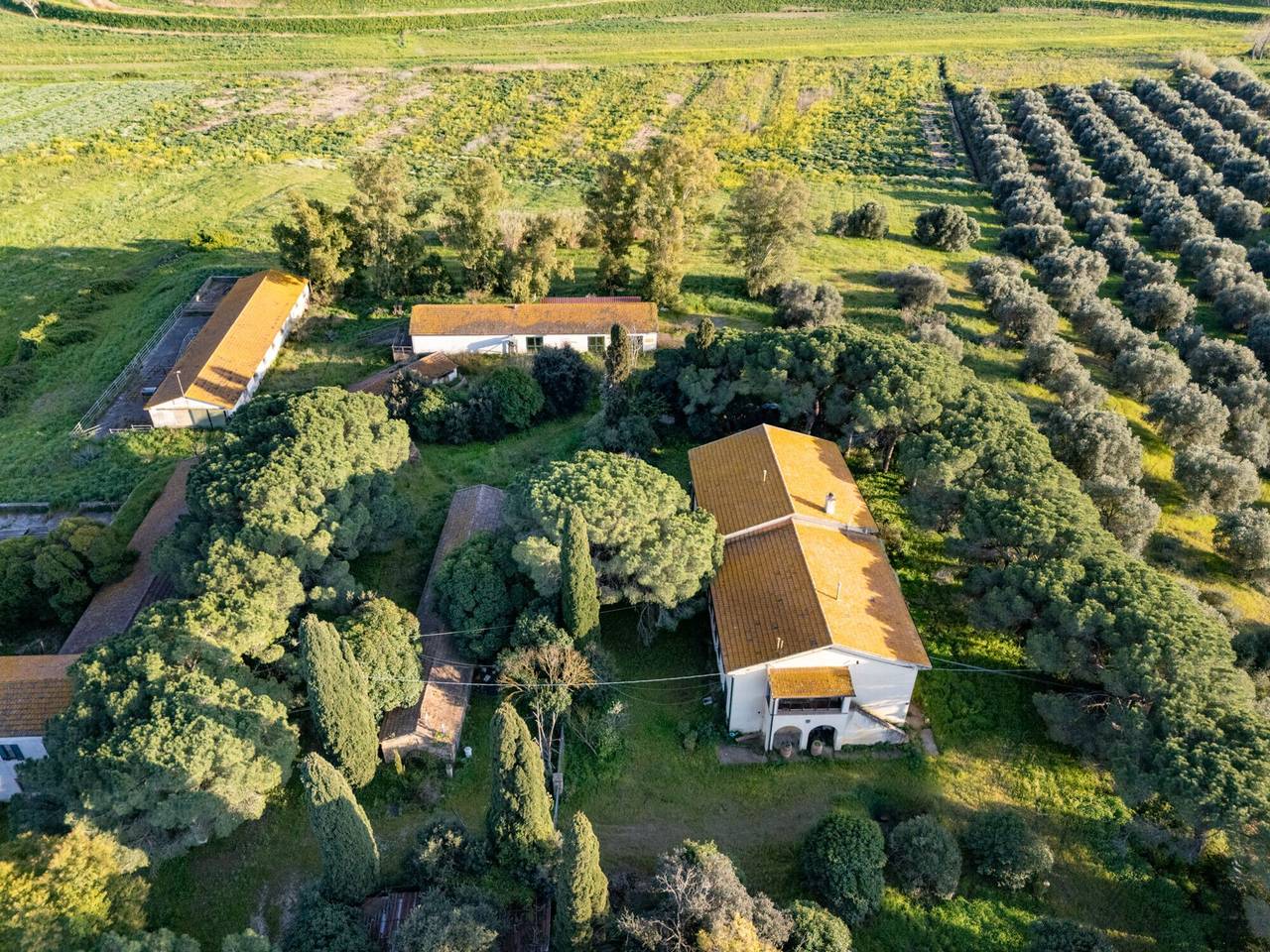 immagine annuncio 8 di 13