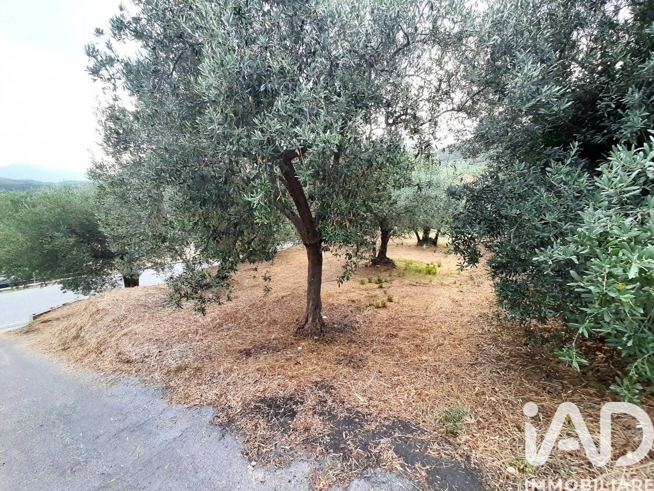 immagine annuncio 5 di 9