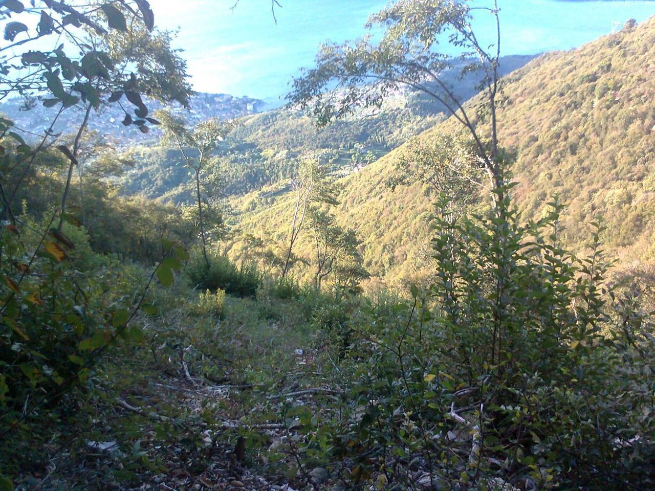 immagine annuncio 5 di 6