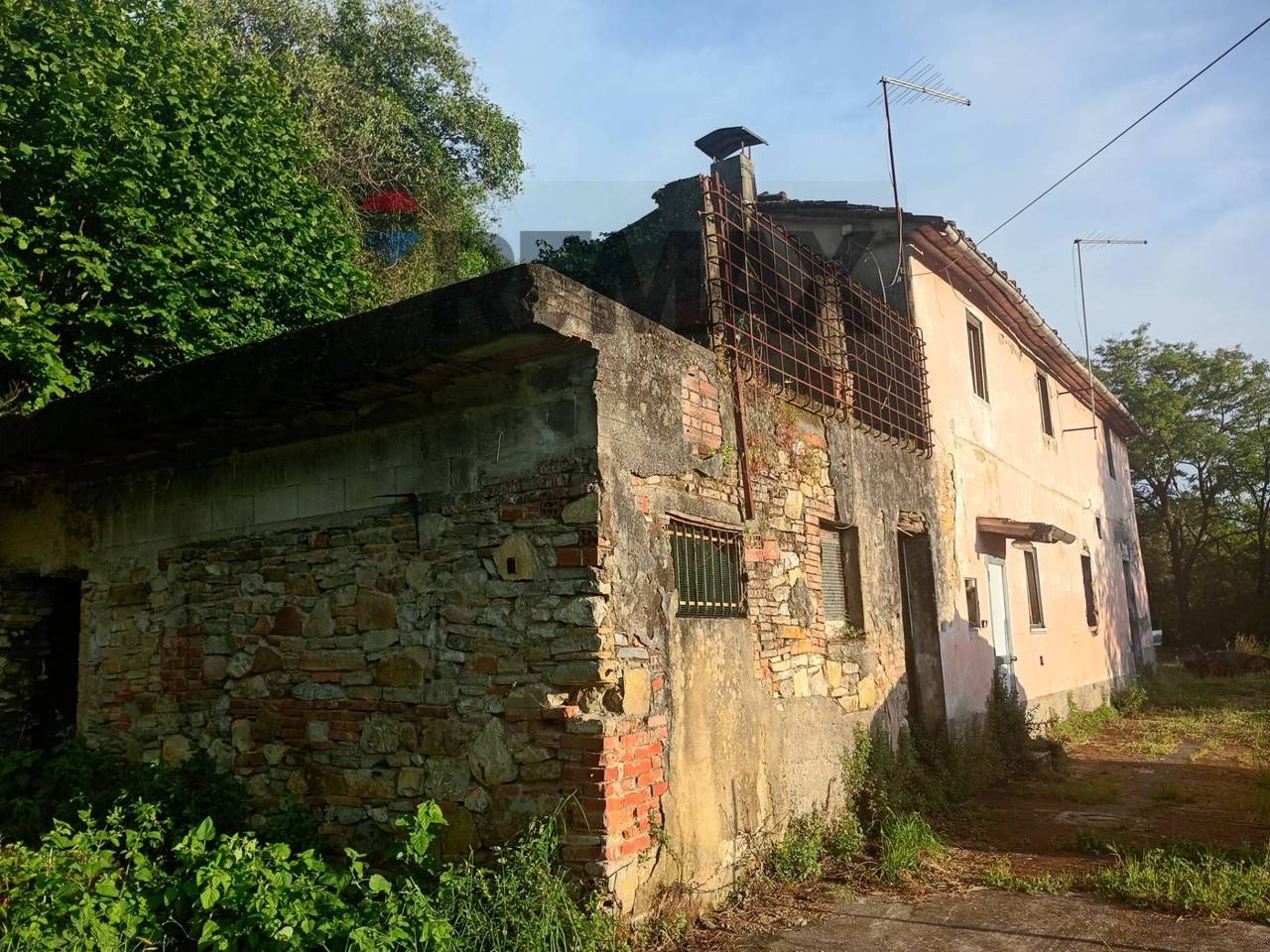 immagine annuncio 2 di 8