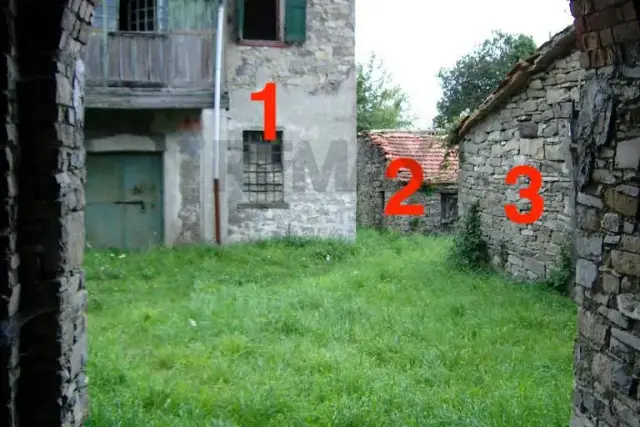 insertion image