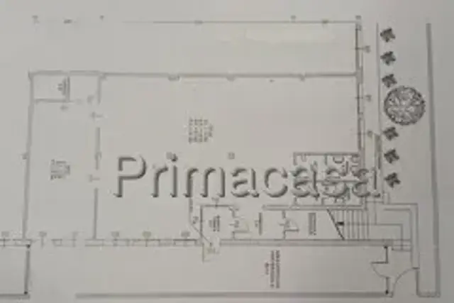 insertion image