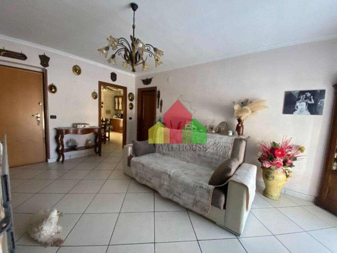 immagine annuncio 1 di 9