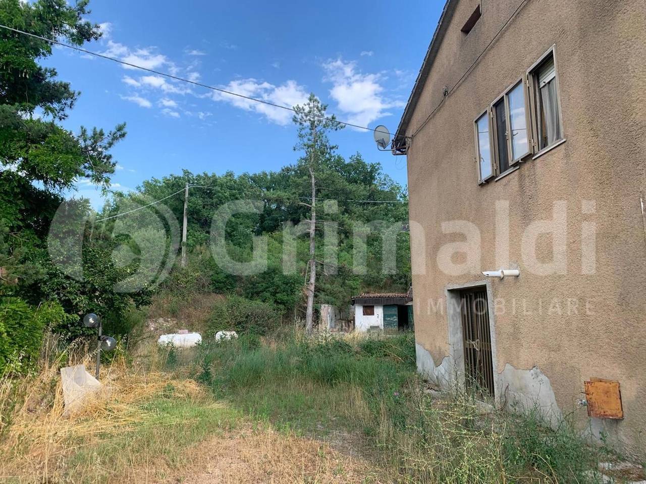 immagine annuncio 2 di 11