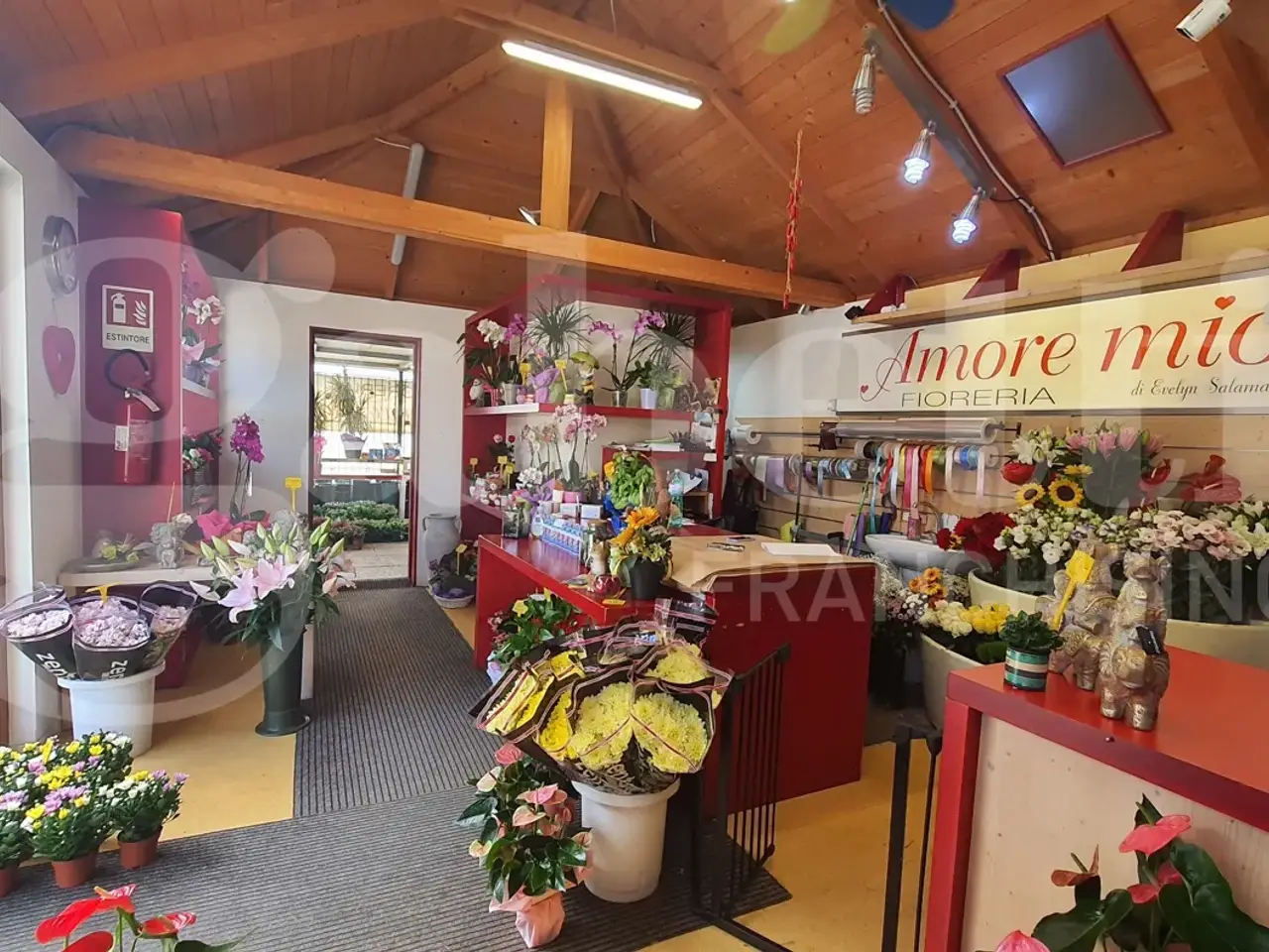 Negozio in , Cividale Del Friuli, {3} - Foto 1