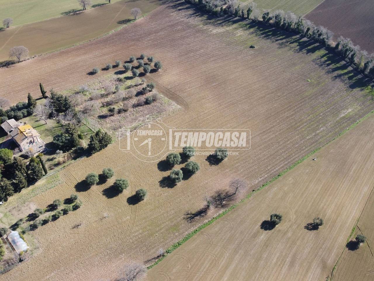 immagine annuncio 8 di 12