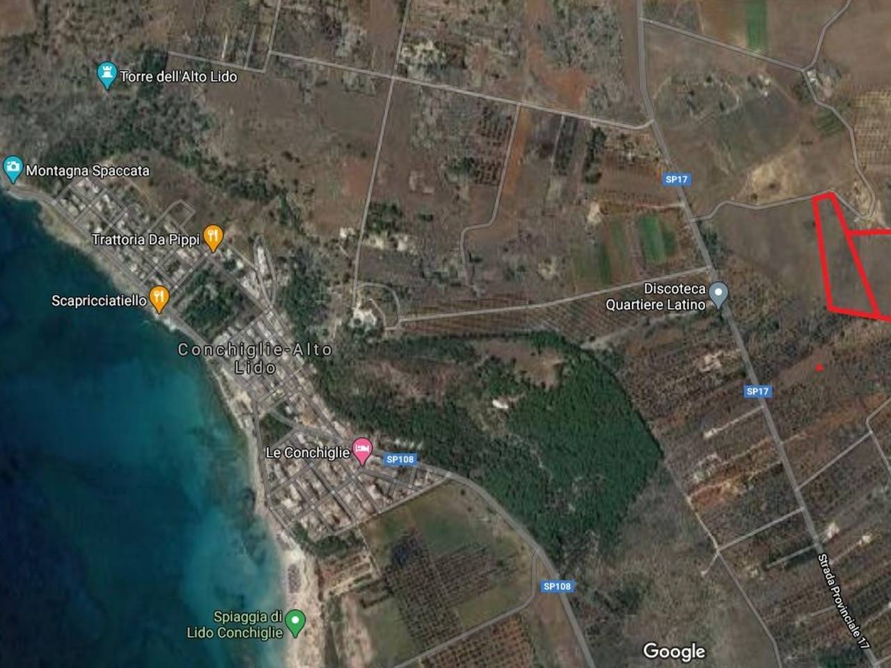 immagine annuncio 1 di 6