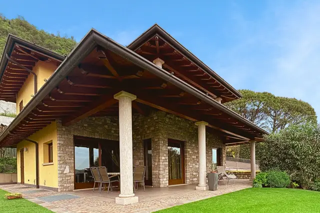 insertion image