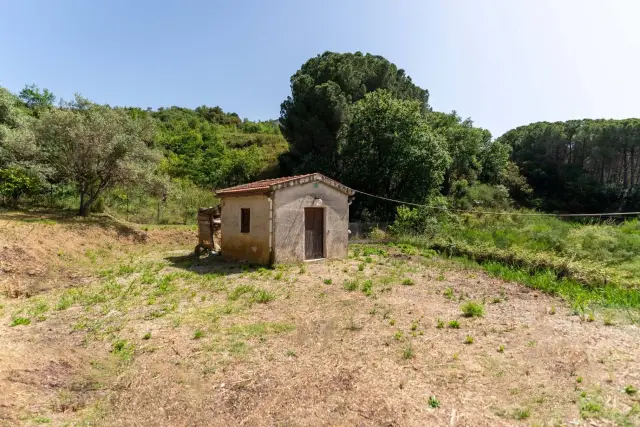 Terreno agricolo in Contrada Granato Via dell'Appennino  Snc, Cefalù - Foto 1