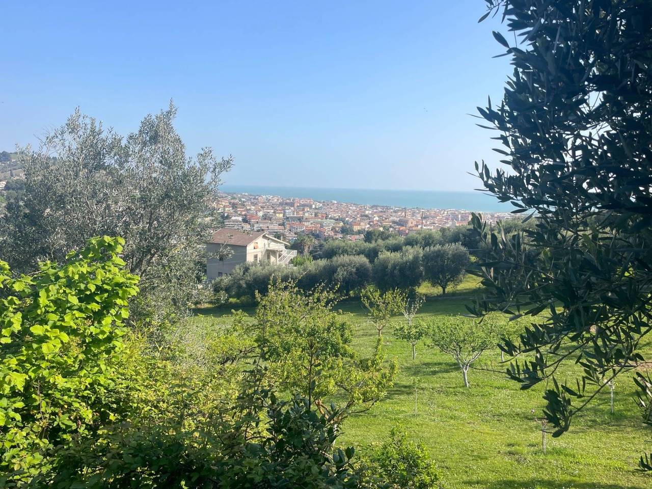 immagine annuncio 10 di 11