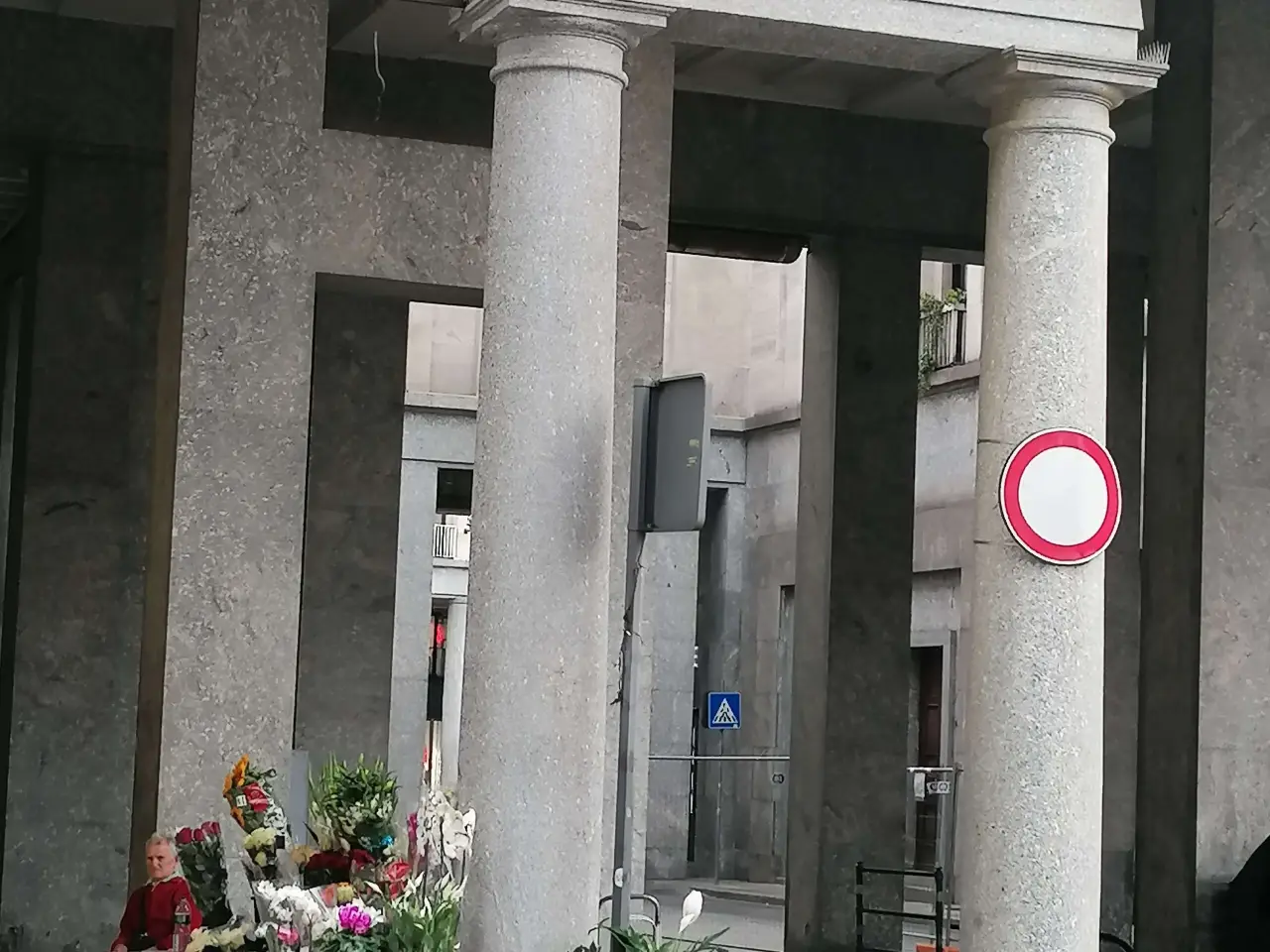 Piante e fiori in Piazza Cln  235, Torino, {3} - Foto 2