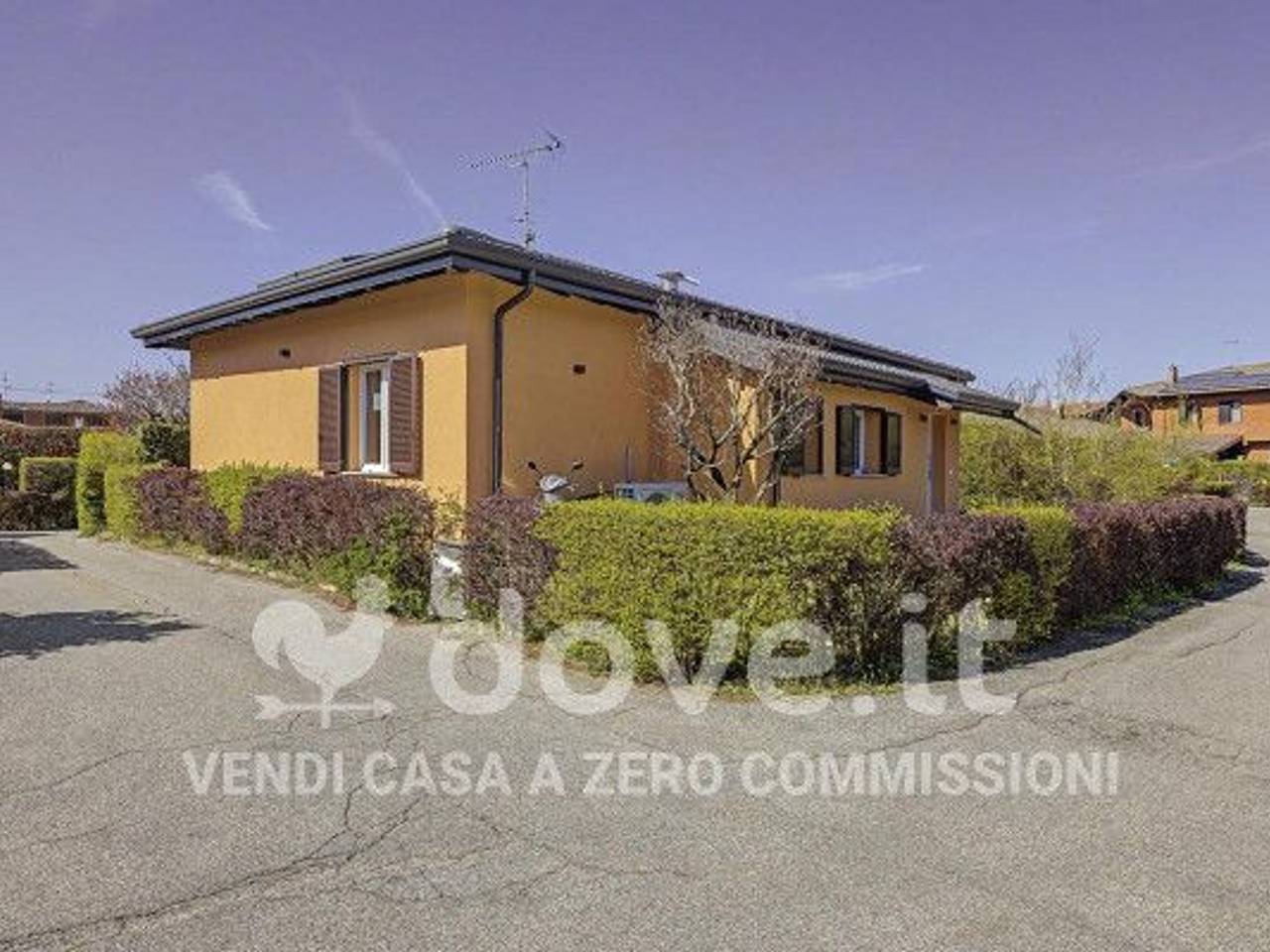 immagine annuncio 1 di 15