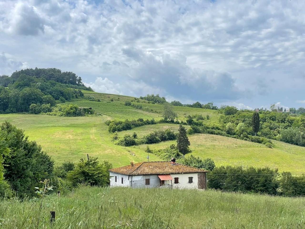 immagine annuncio 1 di 14