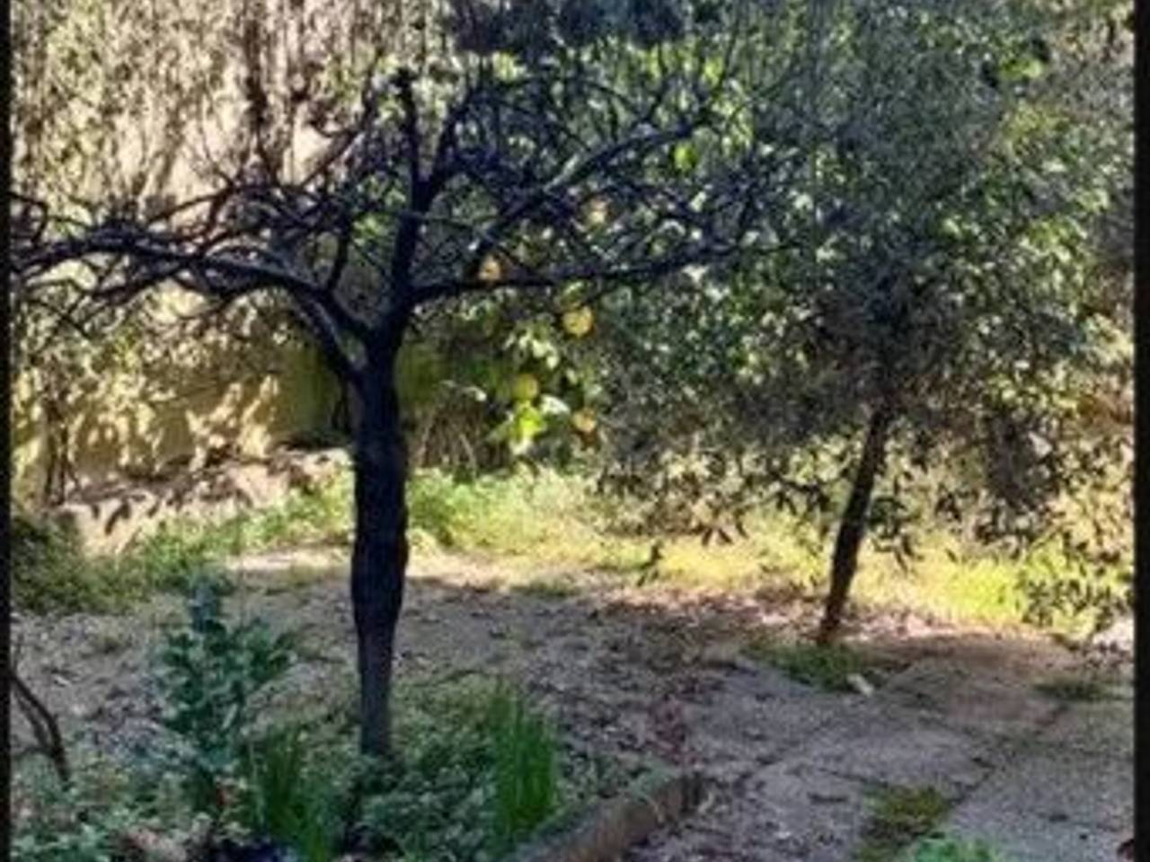 immagine annuncio 5 di 6