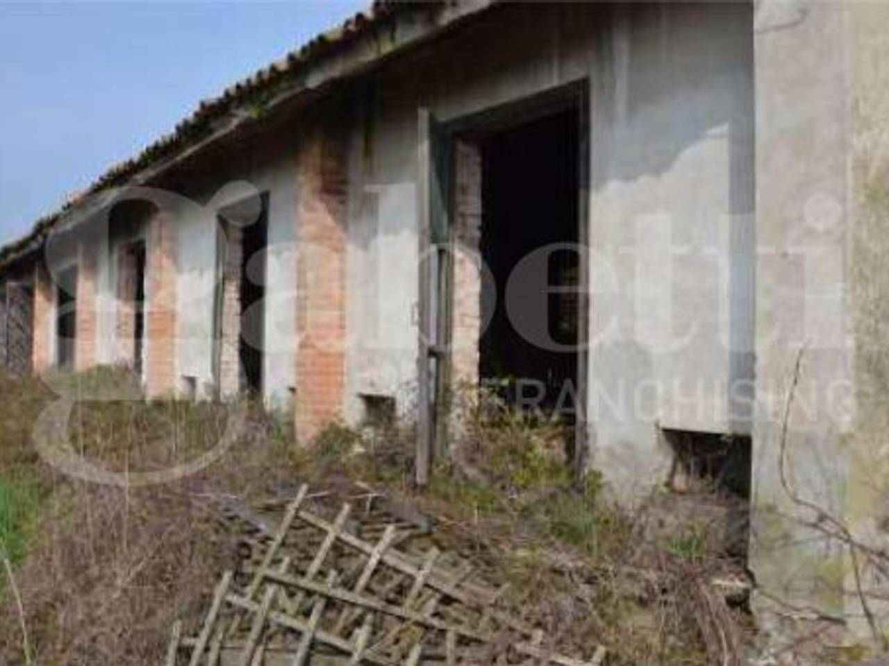 immagine annuncio 8 di 13