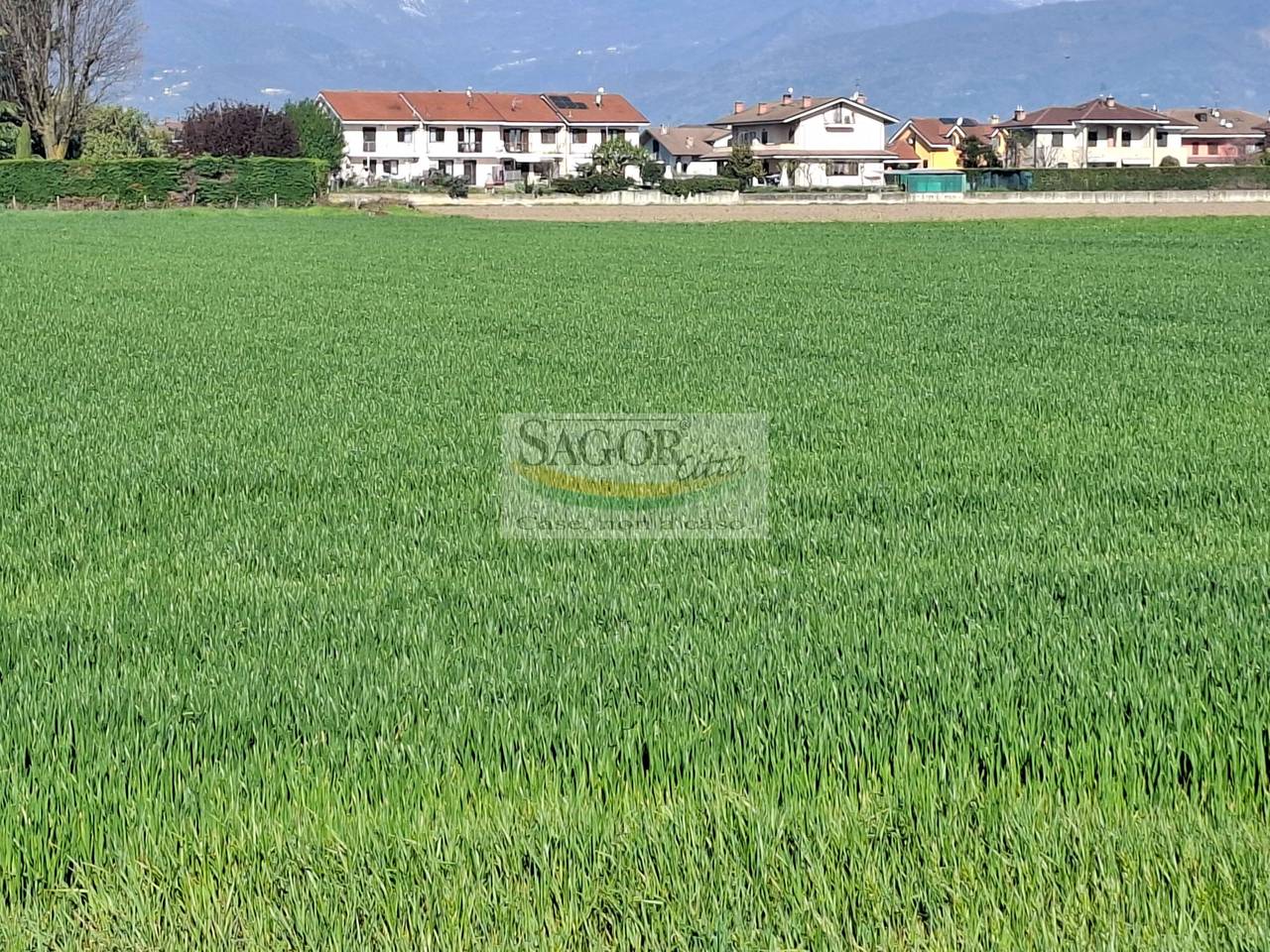 immagine annuncio 2 di 6