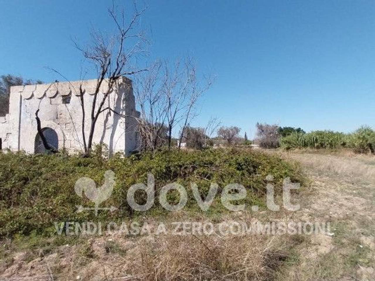 immagine annuncio 1 di 11