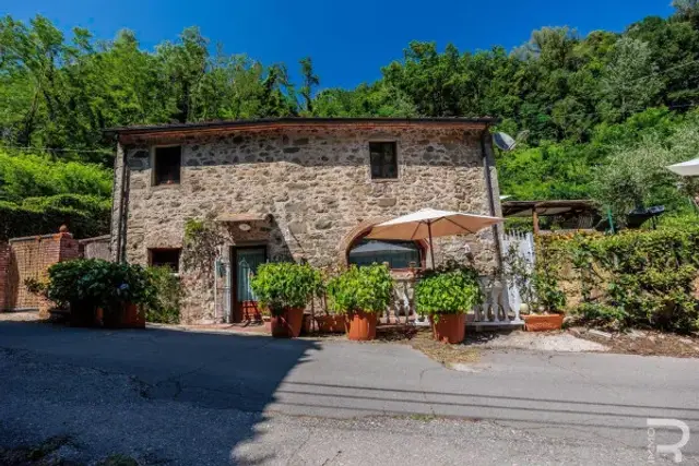insertion image