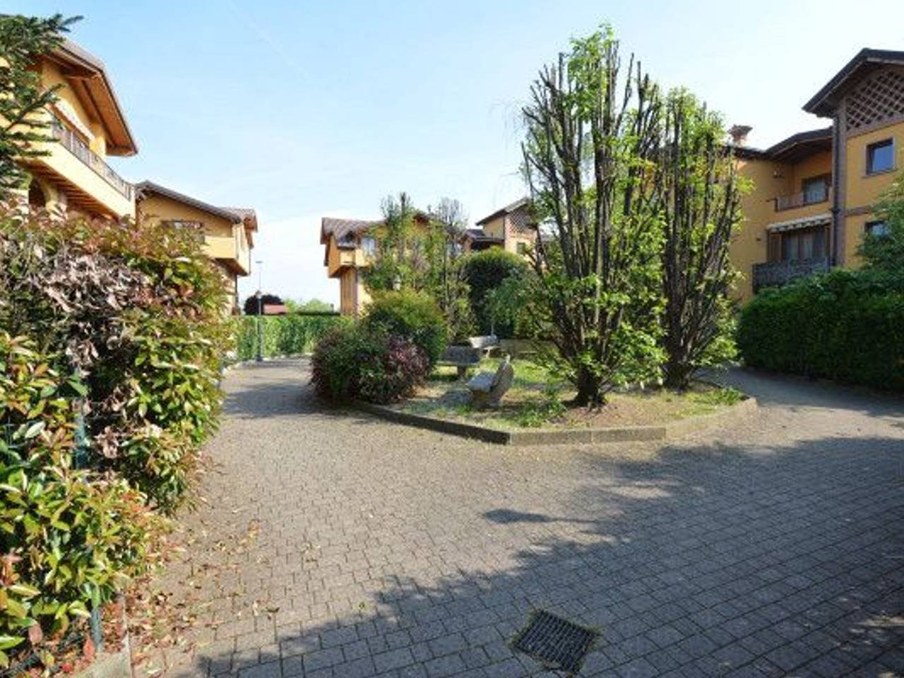 immagine annuncio 3 di 15